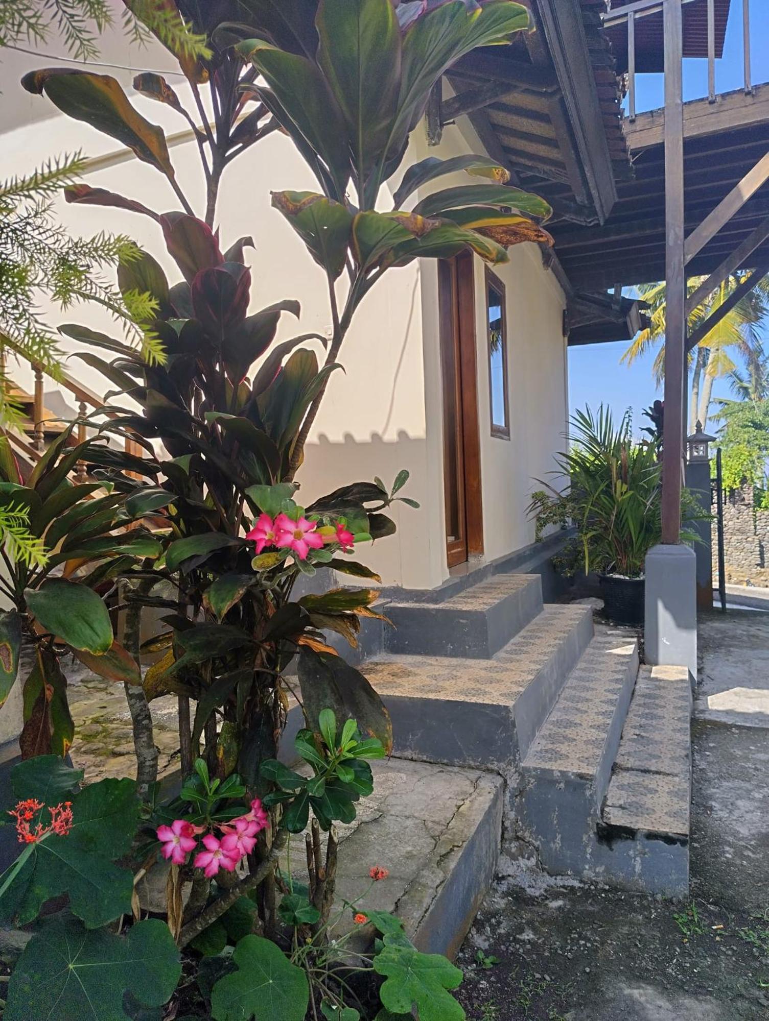 פולוקאן Kirra'S Beach House מראה חיצוני תמונה